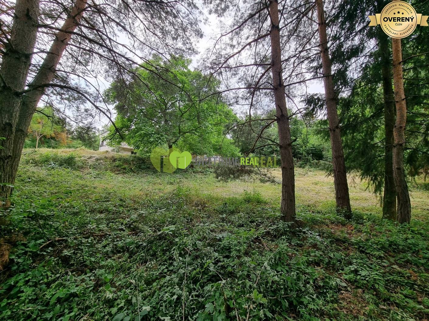 20220628_171114 (1).jpg