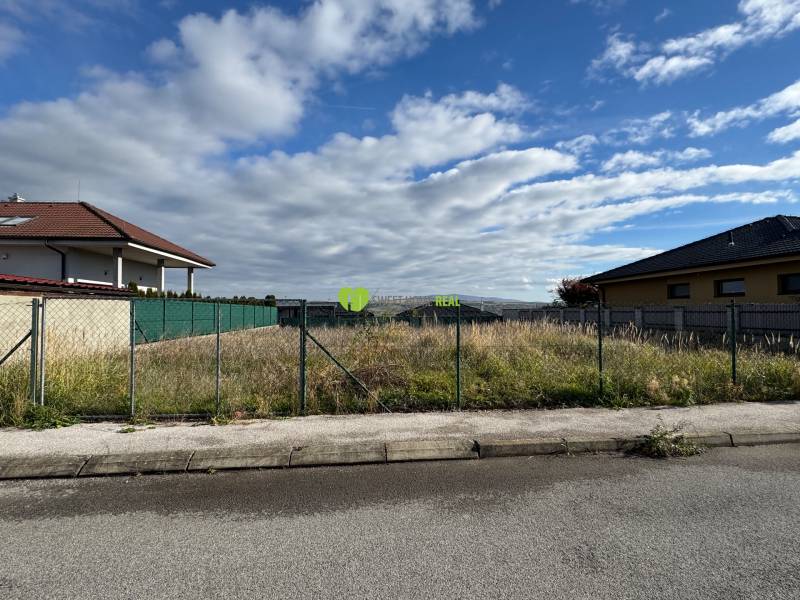 IMG_5338.jpeg IMG_5338.jpeg